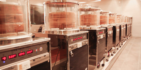 진세노사이드 성분 분석