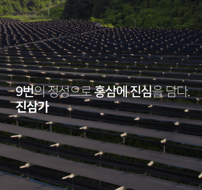 간편한 일일섭취