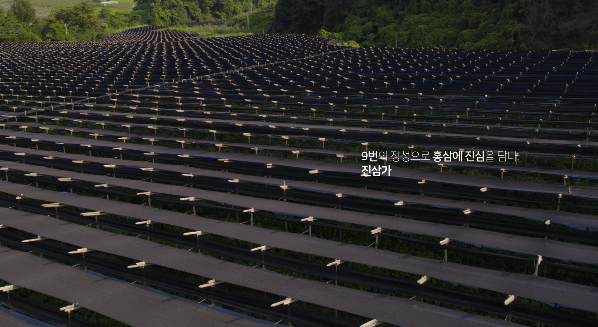 간편한 일일섭취