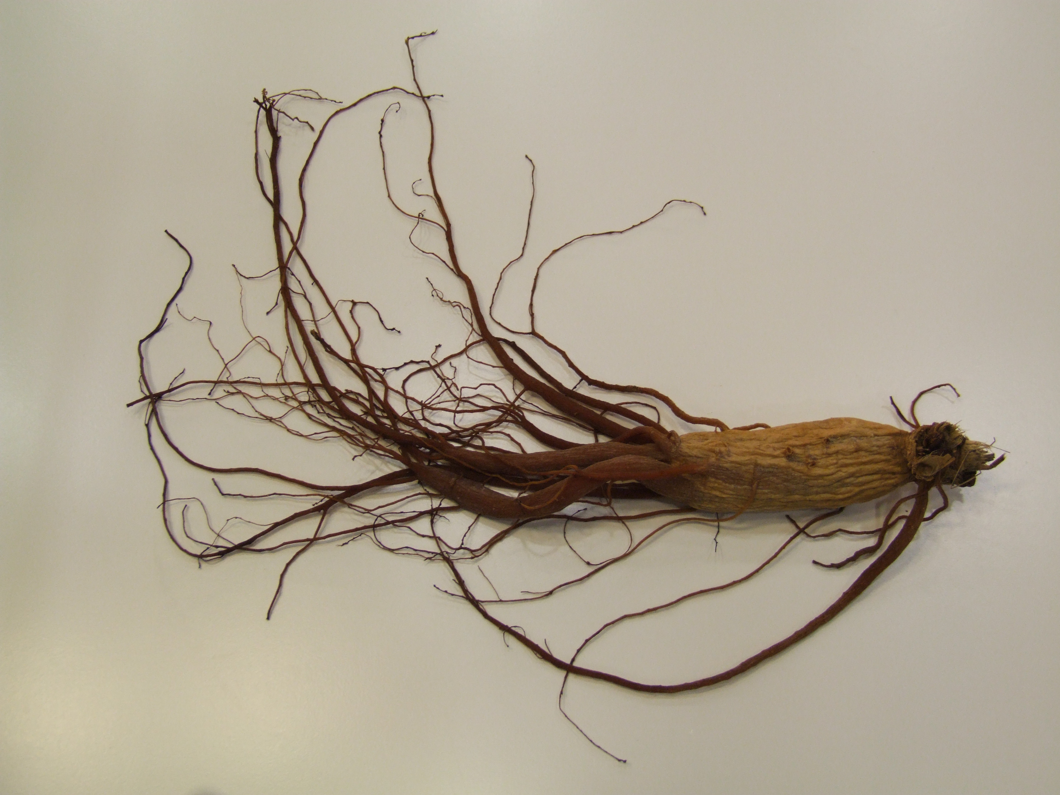 9증9포 홍삼 제조 과정